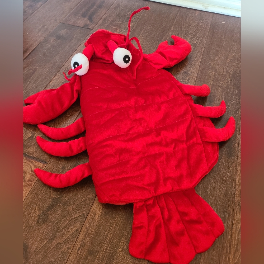 Dog Lobster Costume